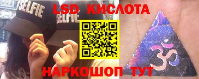 прущие грибы Ирбит